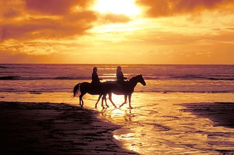 Horse Riding