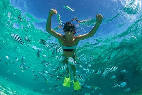 Explore the Coral Reef