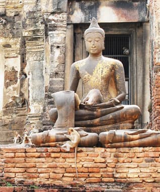 Monkey Temple