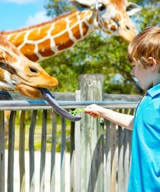 Oasis Park Zoo