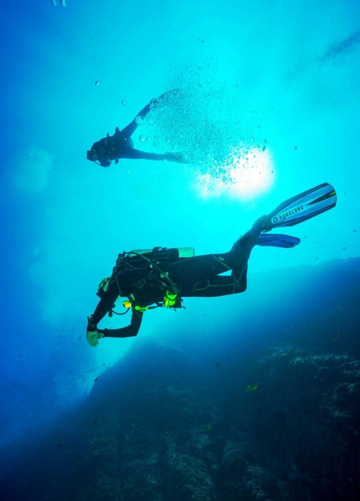 Dive Into An Underwater World