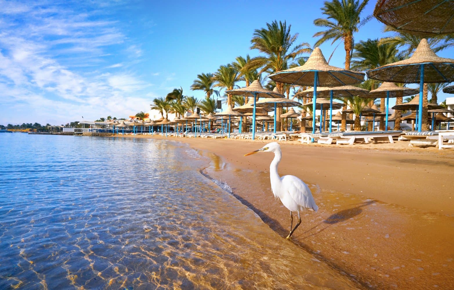 Find Your Ideal Resort