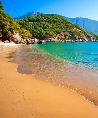 Beach Life