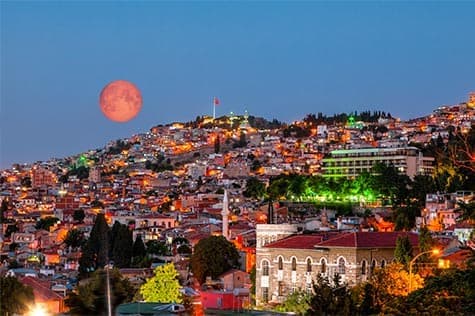 Lively Nightlife