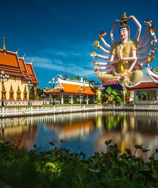 Top Attractions