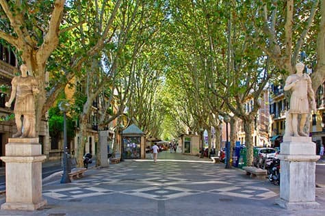 Shopping in Palma