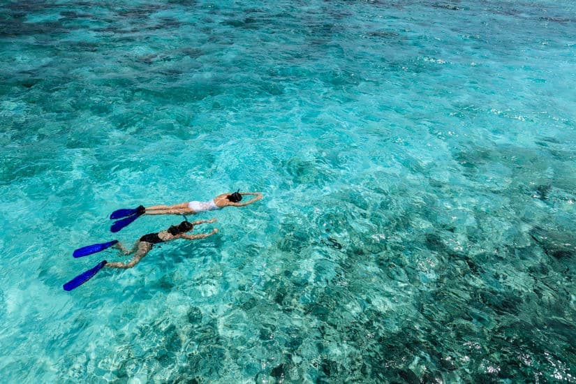  Explore the Ocean