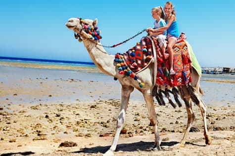 Family Holidays