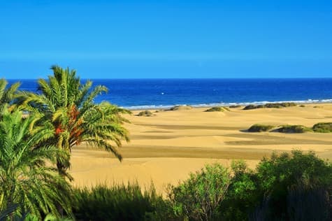 Meloneras' Champagne Sands