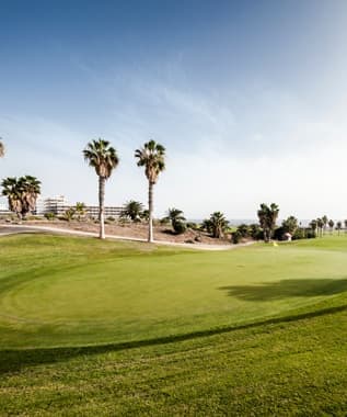 Tee Off At A Golf Course