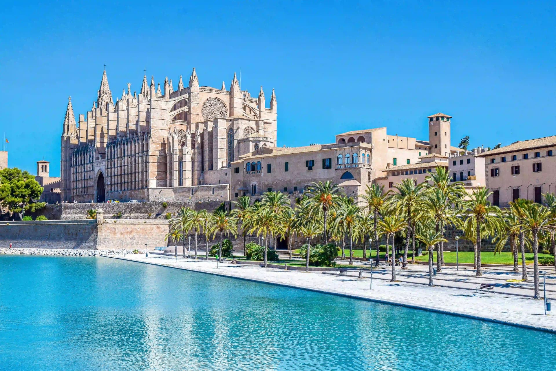 Palma City