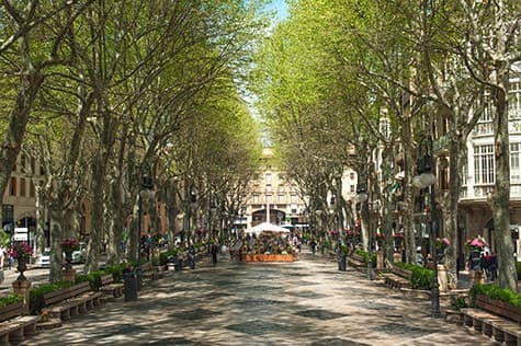 Top Shops in Palma