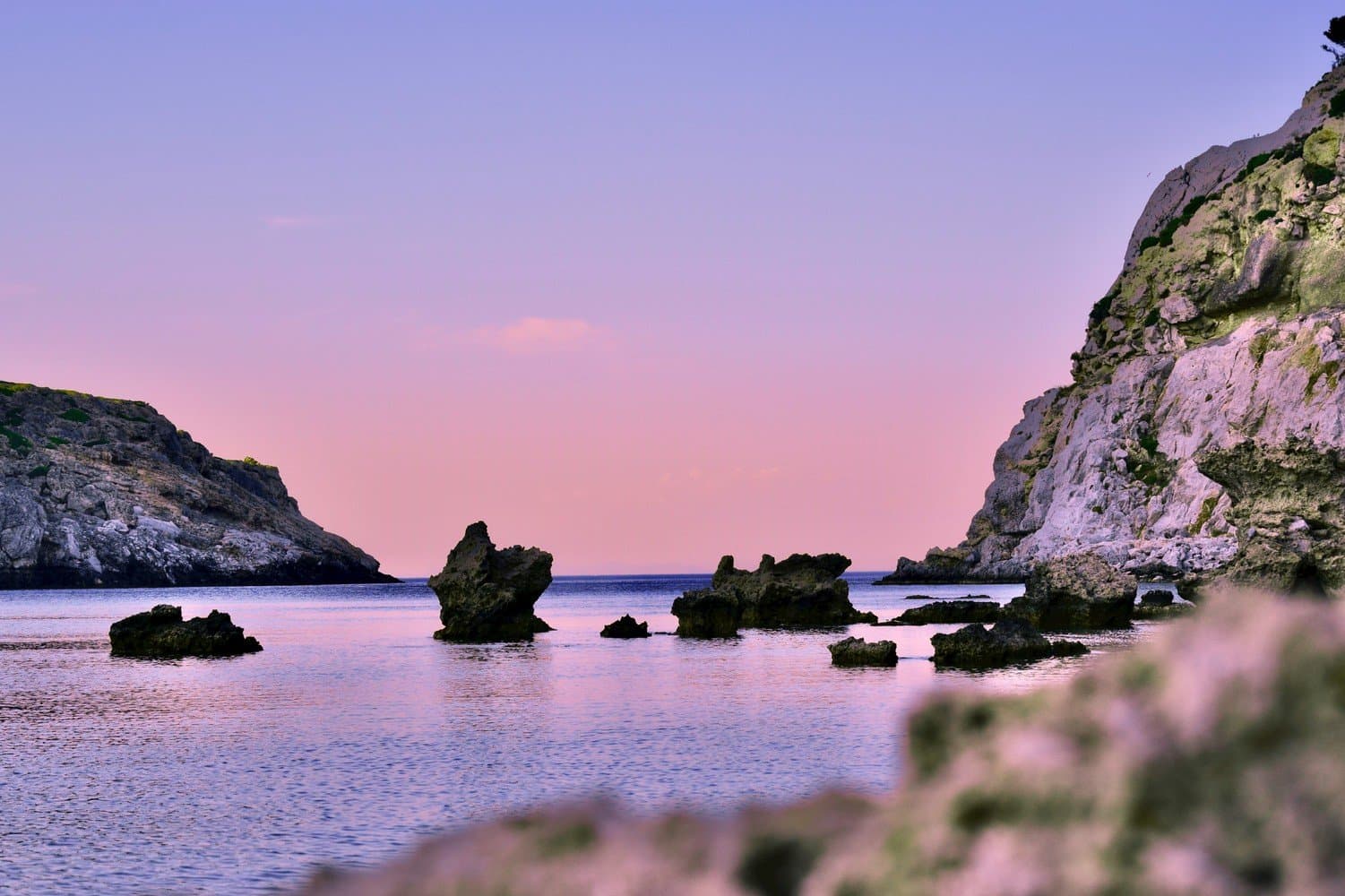 Roam Anthony Queen Bay
