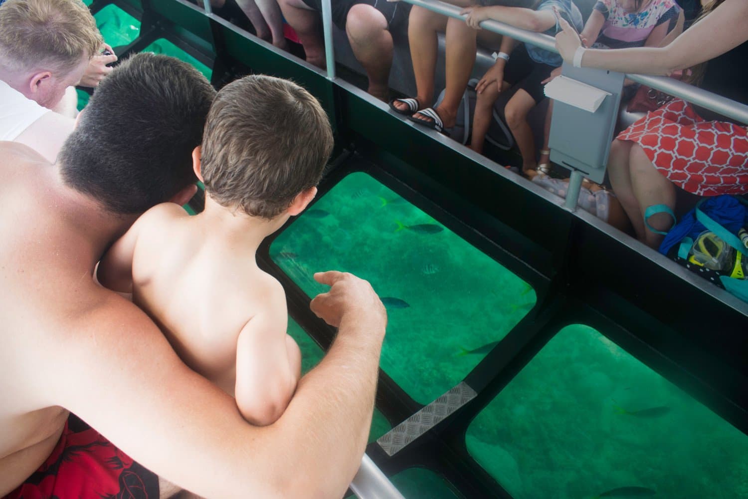 Sail in a Glass Bottomed Boat