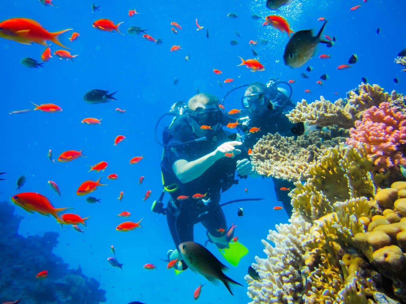 Scuba Dive In Kallithea Bay