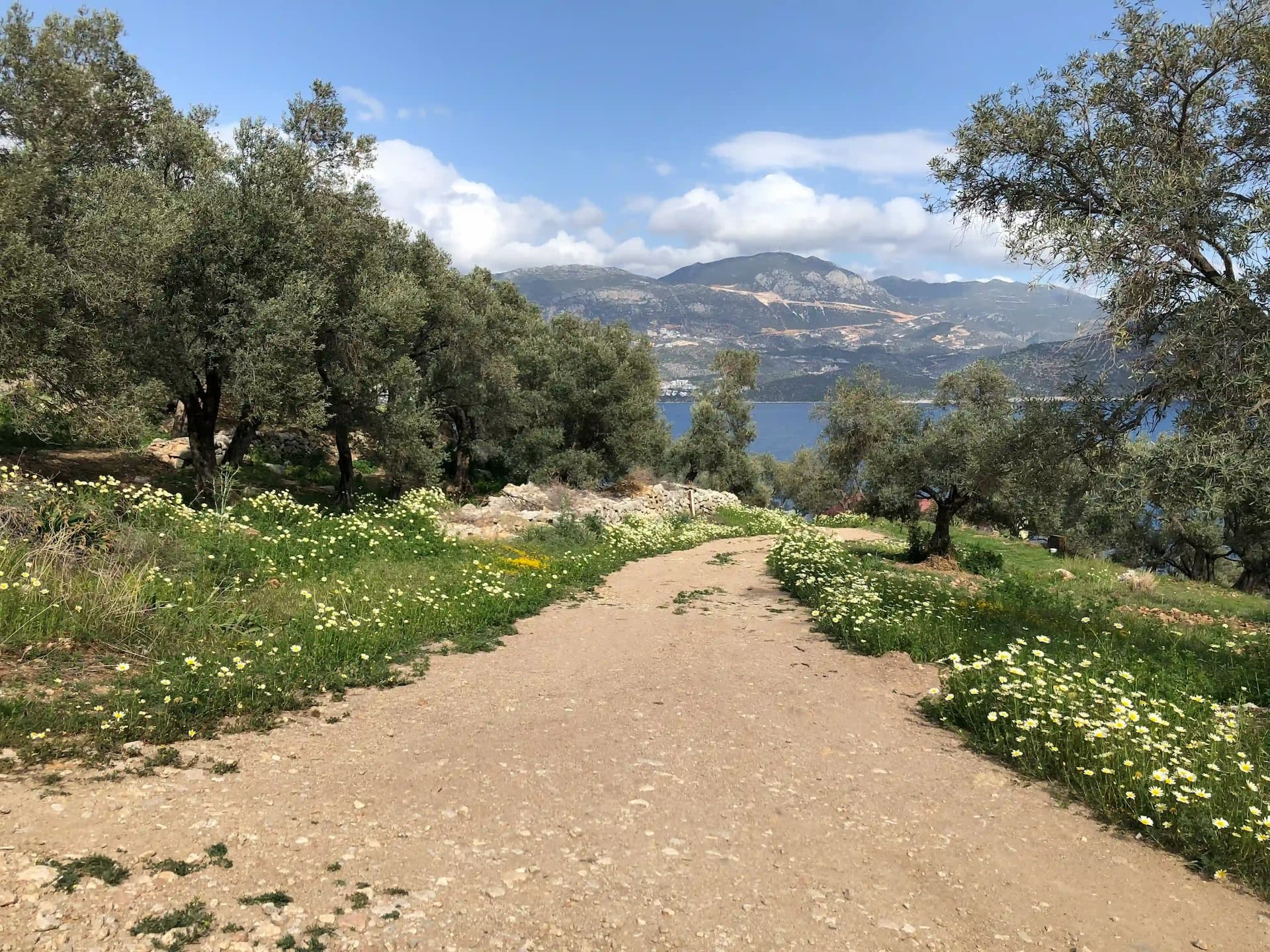 What are the top things to do in Avsallar?